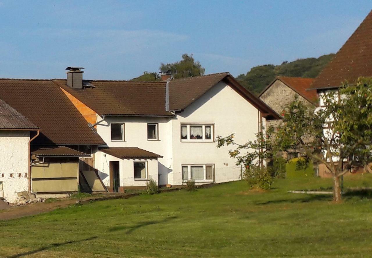 Ferienwohnung Auf Dem Pferdehof Schotten Exteriör bild